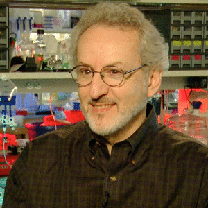 Don Ingber, MD