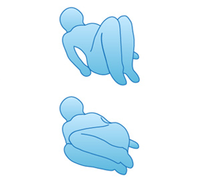 Knee Rolls Knee Rolls