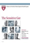 Harvard Medical School The Sensitive Gut