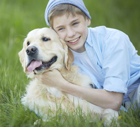Some Stressed Kids do Better with Pets Some Stressed Kids do Better with Pets