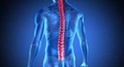 Chronic Pain of the Spine