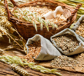 Healthy Eating: Everything You Ever Wanted to Know About Whole Grain Foods Healthy Eating: Everything You Ever Wanted to Know About Whole Grain Foods