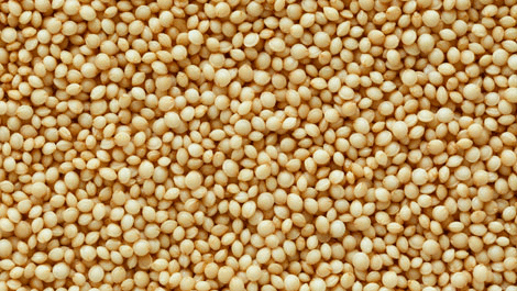 Lysine