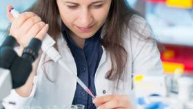 What Genetic Testing Is There for Breast Cancer?