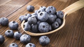 Maintain Healthy Blood Sugar with Blueberries