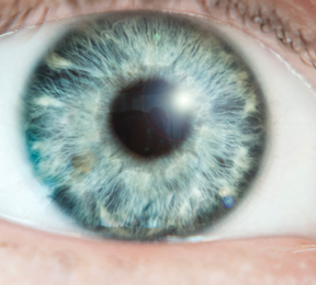 The Aging Eye: See into Your Future The Aging Eye: See into Your Future