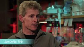 What Type of Diseases Does Your Lab Focus On?