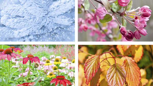 can the change of seasons impact my fibromyalgia symptoms ?