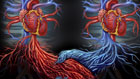 Transplant with Dr Oz: Linda's Long Wait for a Heart