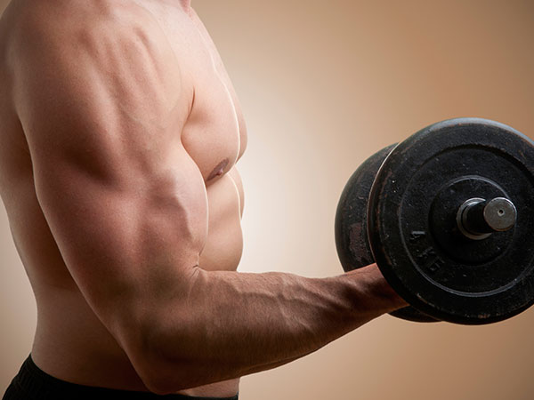 Testosterone Makes the Man Testosterone Makes the Man