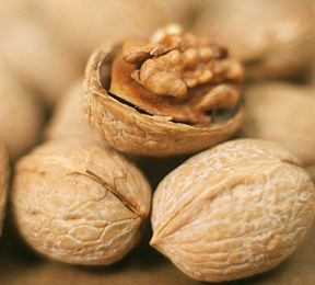 Walnuts for Your Heart and Sex Life Walnuts for Your Heart and Sex Life